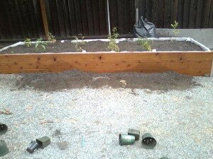 Flower Pots - Planter Box